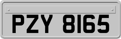 PZY8165