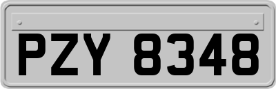 PZY8348