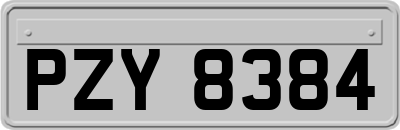 PZY8384