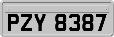 PZY8387