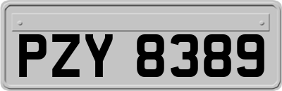 PZY8389
