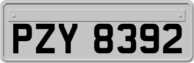 PZY8392