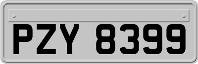 PZY8399