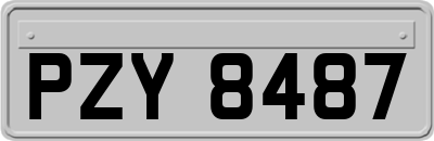 PZY8487