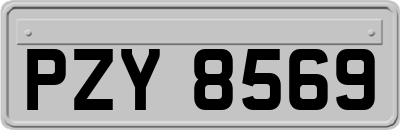 PZY8569