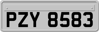 PZY8583