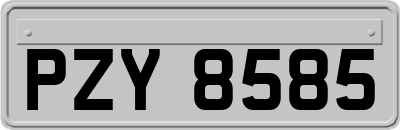PZY8585