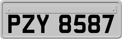 PZY8587