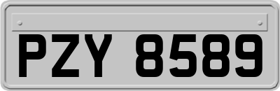 PZY8589