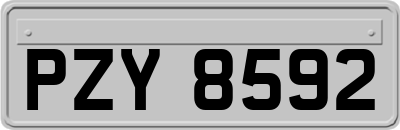 PZY8592