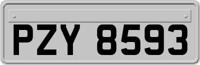 PZY8593