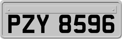 PZY8596