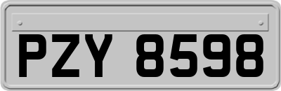 PZY8598