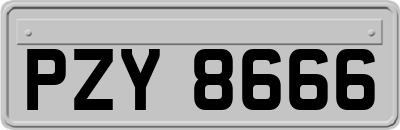 PZY8666