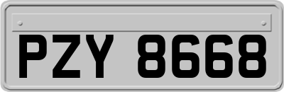 PZY8668