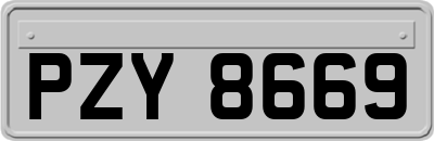 PZY8669