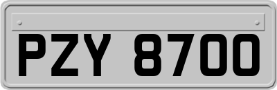 PZY8700