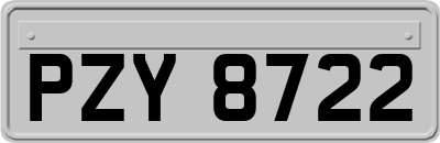 PZY8722