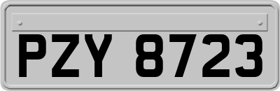 PZY8723