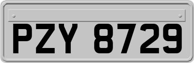 PZY8729