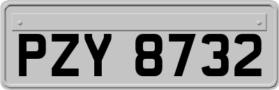 PZY8732