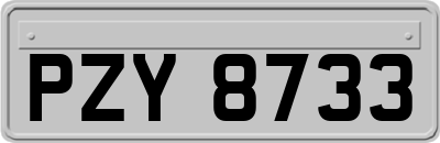 PZY8733