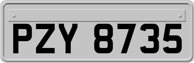 PZY8735