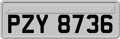 PZY8736