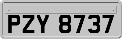 PZY8737