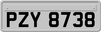 PZY8738