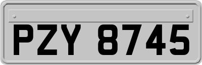 PZY8745