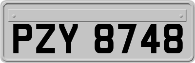 PZY8748