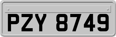 PZY8749