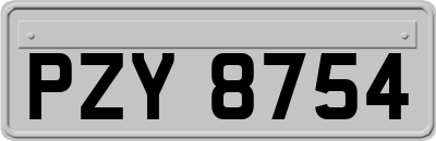 PZY8754