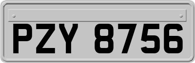 PZY8756