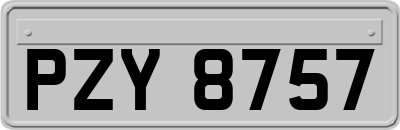 PZY8757