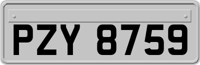 PZY8759