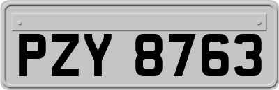 PZY8763