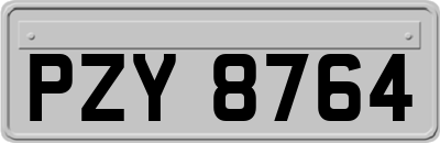 PZY8764