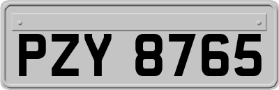 PZY8765