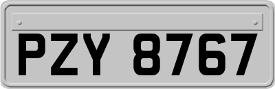 PZY8767