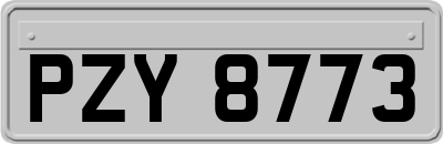 PZY8773