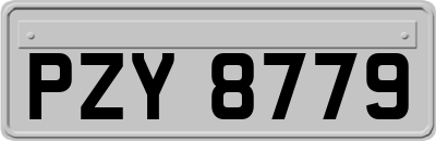 PZY8779