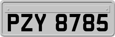 PZY8785