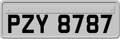 PZY8787