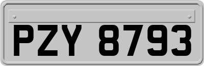 PZY8793