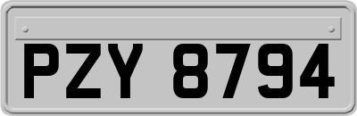 PZY8794