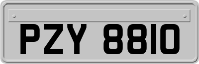 PZY8810