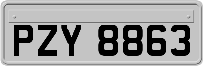 PZY8863