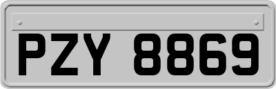 PZY8869